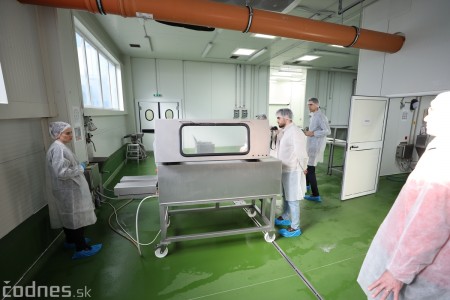 Foto a video: V Handlovej vylovili vyše 700.000 kilogramov sumčeka afrického a od svojho vzniku vyprodukovala 13,6 milióna kilogramov paradajok 22