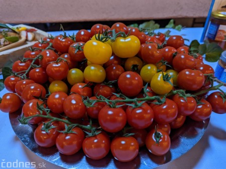 Foto a video: V Handlovej vylovili vyše 700.000 kilogramov sumčeka afrického a od svojho vzniku vyprodukovala 13,6 milióna kilogramov paradajok 29