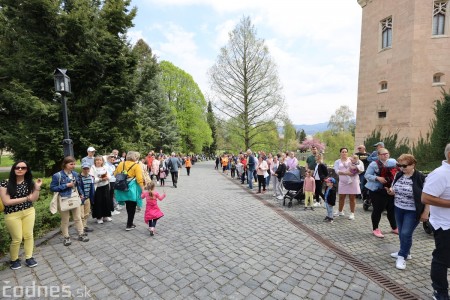 Foto a video: Letnú sezónu hornej Nitry otvoril v Bojniciach sprievod postáv z rozprávok a filmov 78