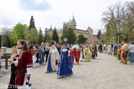 Foto a video: Letnú sezónu hornej Nitry otvoril v Bojniciach sprievod postáv z rozprávok a filmov 132