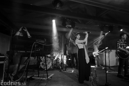 Foto: Koncert PETER BIČ PROJEKT - Bojnice - Bojnický dvor 7