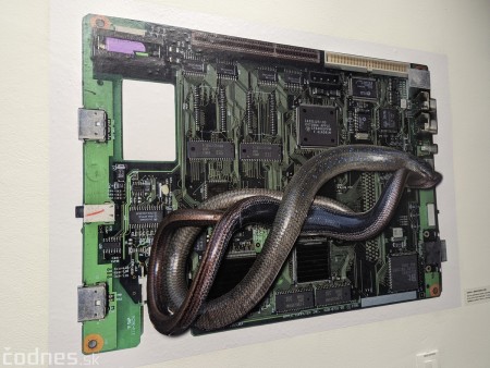 Foto a video: Dve jedinečné výstavy v priestoroch Galérie Imricha Vysočana v Meštianskom dome v Prievidzi 5