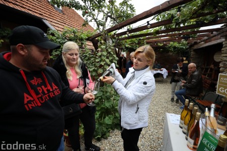 Foto a video: Bojnický festival poctivých vín 2022 1