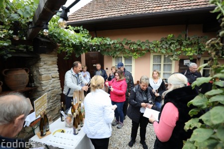 Foto a video: Bojnický festival poctivých vín 2022 7