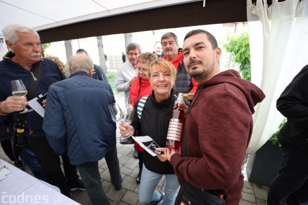 Foto a video: Bojnický festival poctivých vín 2022 21