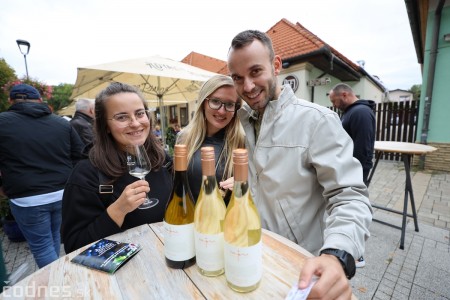 Foto a video: Bojnický festival poctivých vín 2022 27