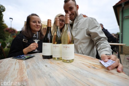Foto a video: Bojnický festival poctivých vín 2022 28