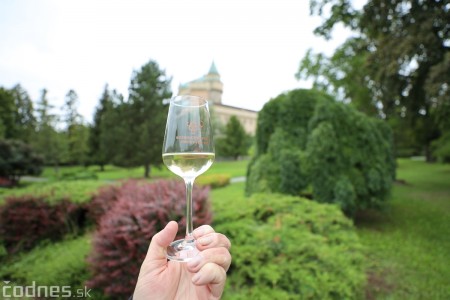 Foto a video: Bojnický festival poctivých vín 2022 34