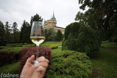 Foto a video: Bojnický festival poctivých vín 2022 35