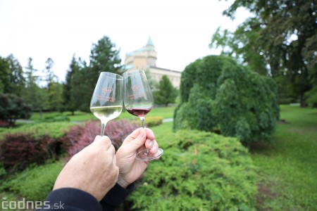 Foto a video: Bojnický festival poctivých vín 2022 37