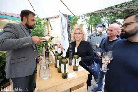 Foto a video: Bojnický festival poctivých vín 2022 53