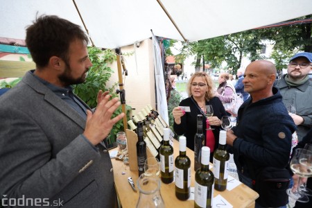 Foto a video: Bojnický festival poctivých vín 2022 54