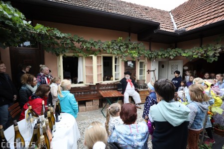 Foto a video: Bojnický festival poctivých vín 2022 63