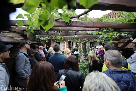 Foto a video: Bojnický festival poctivých vín 2022 64