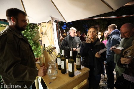 Foto a video: Bojnický festival poctivých vín 2022 83