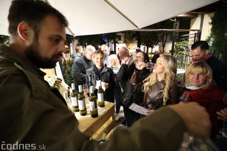 Foto a video: Bojnický festival poctivých vín 2022 85