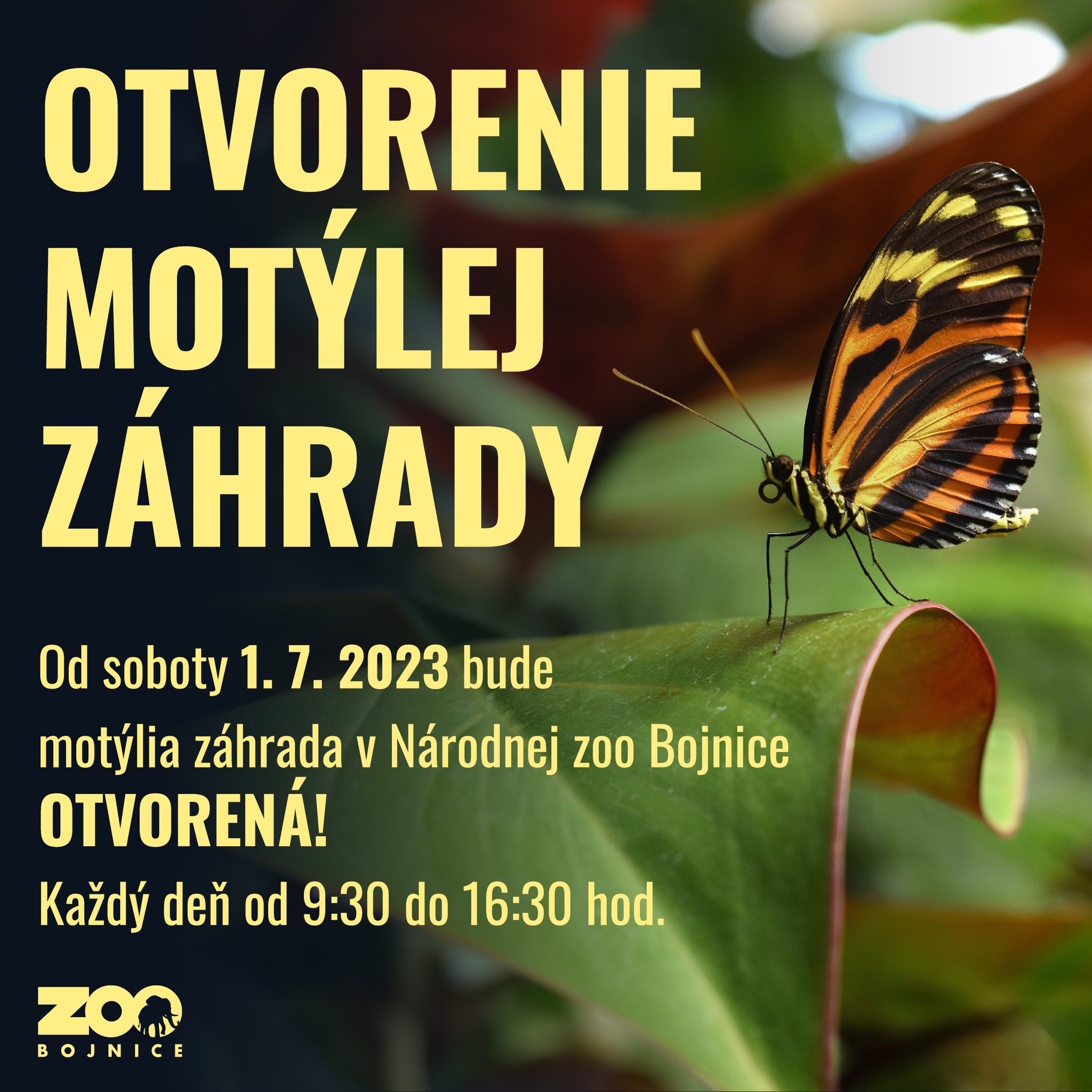 Motýlia záhrada v ZOO Bojnice bude od 1.7. opäť otvorená!