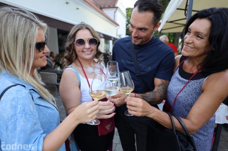 Foto a video: Bojnický festival poctivých vín 2023 14