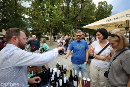 Foto a video: Bojnický festival poctivých vín 2023 19