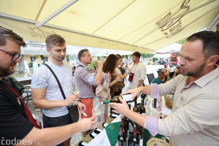 Foto a video: Bojnický festival poctivých vín 2023 26