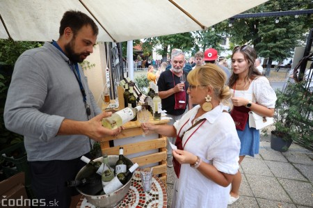 Foto a video: Bojnický festival poctivých vín 2023 41