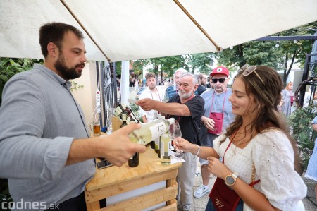 Foto a video: Bojnický festival poctivých vín 2023 43