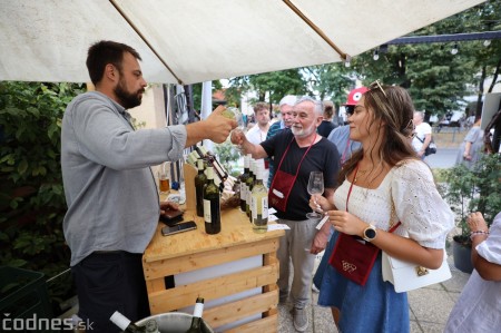 Foto a video: Bojnický festival poctivých vín 2023 42