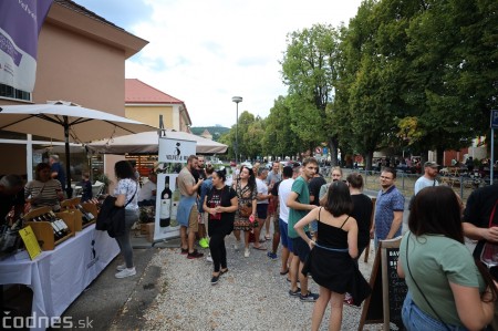 Foto a video: Bojnický festival poctivých vín 2023 47