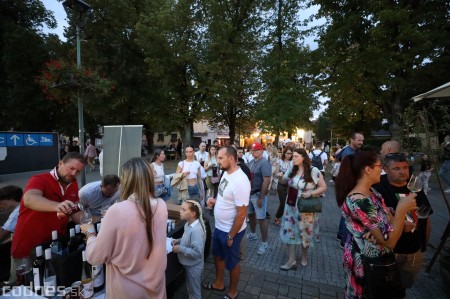 Foto a video: Bojnický festival poctivých vín 2023 64