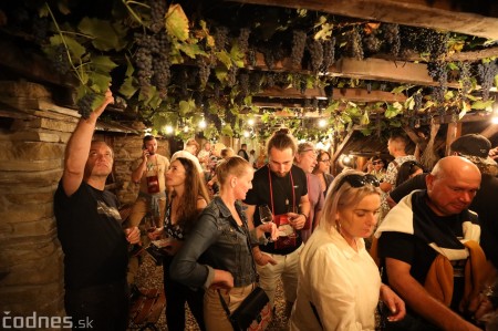 Foto a video: Bojnický festival poctivých vín 2023 83