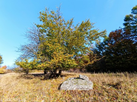 Foto: Jančekova skala - jeseň 2023 13