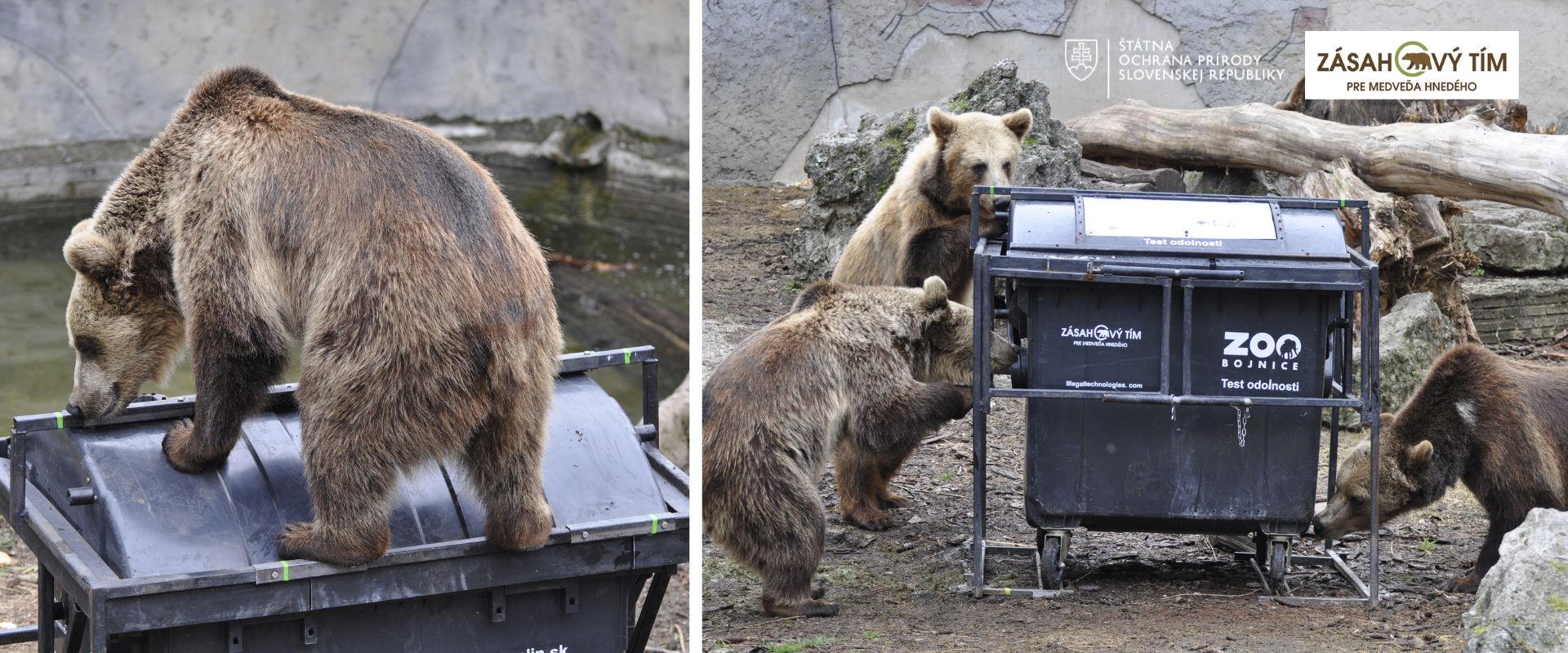 Zoo Bojnice upozornila na svoje NAJOBĽÚBENEJŠIE VIDEO ZA ROK 2023