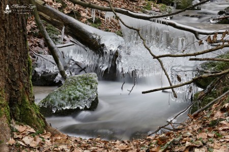 Foto: Zamrznutý Porubský potok - zima 2024 8