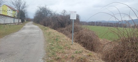 Foto: Aleja ovocných stromov pribudla v blízkosti bytových domov v Lazanoch v okrese Prievidza 0