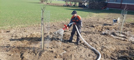 Foto: Aleja ovocných stromov pribudla v blízkosti bytových domov v Lazanoch v okrese Prievidza 3