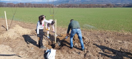 Foto: Aleja ovocných stromov pribudla v blízkosti bytových domov v Lazanoch v okrese Prievidza 7