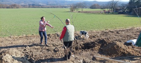 Foto: Aleja ovocných stromov pribudla v blízkosti bytových domov v Lazanoch v okrese Prievidza 11