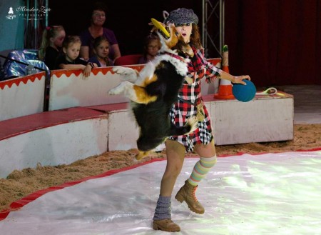 Cirkus Francesko Jung - Prievidza 2024 5