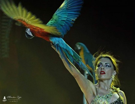 Cirkus Francesko Jung - Prievidza 2024 14