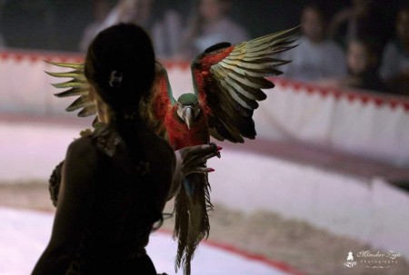 Cirkus Francesko Jung - Prievidza 2024 15