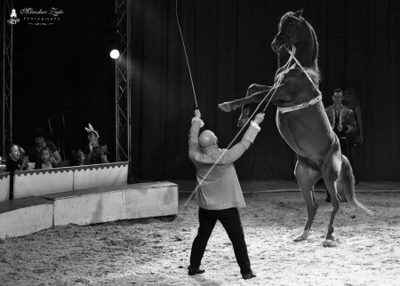 Cirkus Francesko Jung - Prievidza 2024 19