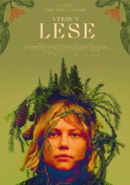 SCANDI – Vtedy v lese 0