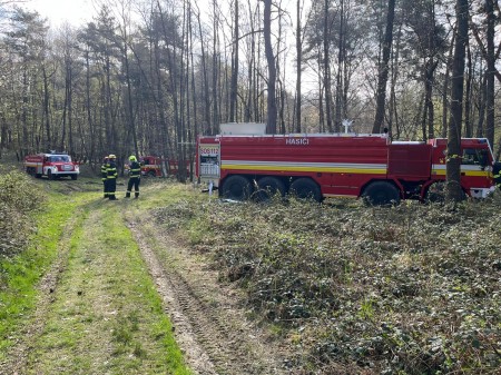 Foto: Hasiči z hornej Nitry si precvičili likvidáciu požiaru lesného porastu 0