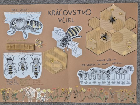 EKOROK S NESTLÉ SLOVENSKO „Plány pre prírodu“ na Námestí slobody v Prievidzi 0