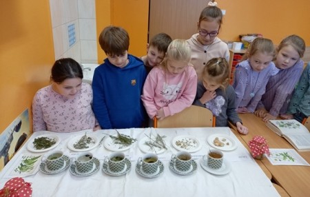 EKOROK S NESTLÉ SLOVENSKO „Plány pre prírodu“ na Námestí slobody v Prievidzi 1