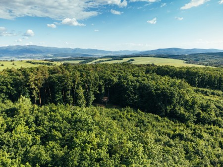 Lesopark Hlboké Bojnice 0