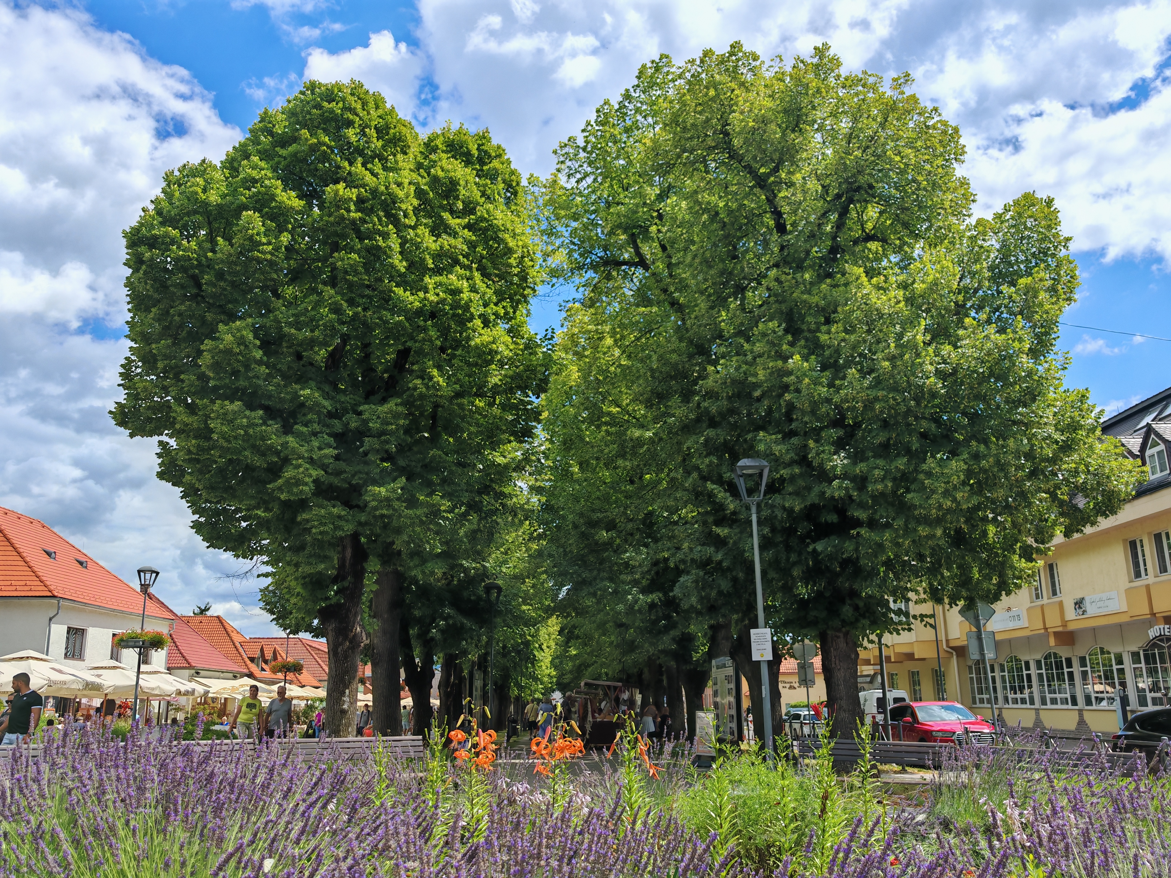 Bojnice: Lipy na Hurbanovom námestí mesto odborne ošetrí
