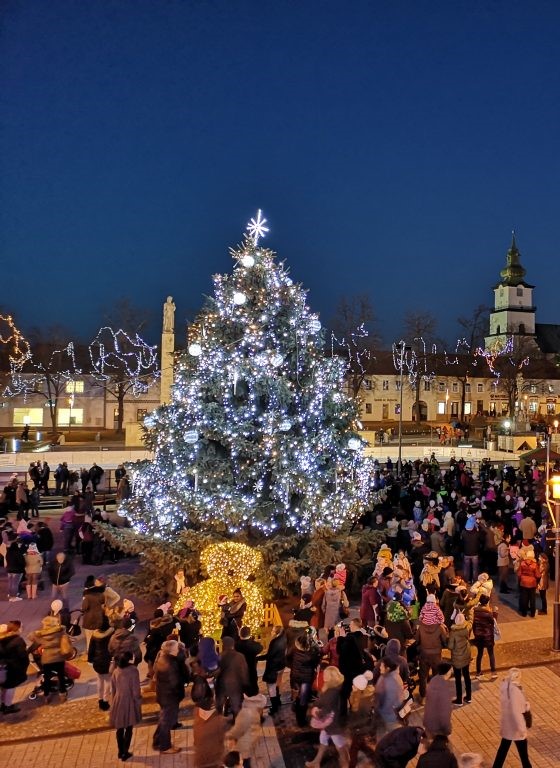 Pomôžte nám nájsť vianočný stromček pre centrum Prievidze