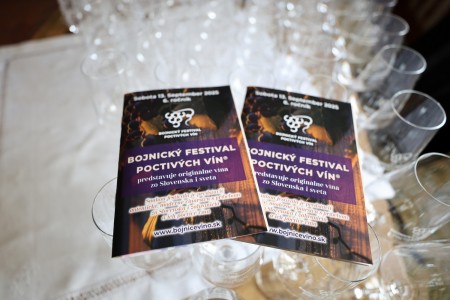 Foto a video: Bojnický festival poctivých vín 2025 1