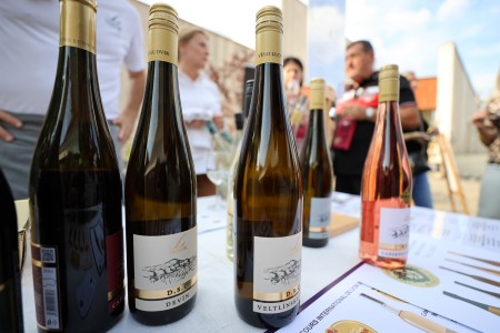 Foto a video: Bojnický festival poctivých vín 2025 2